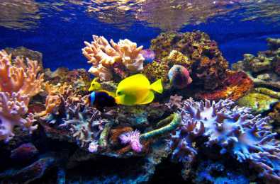 Oceanarium w Pobierowie