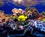 Oceanarium w Pobierowie